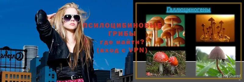 Галлюциногенные грибы MAGIC MUSHROOMS  shop состав  Белово 